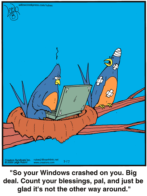 Two birds in a nest. One is bandaged, the other has a laptop.