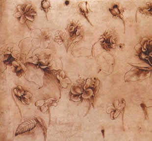 sketch by Leonardo da Vinci