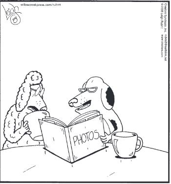two dogs looking at a photo album while drinking coffee