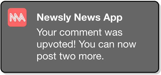 Screenshot shows commenting function